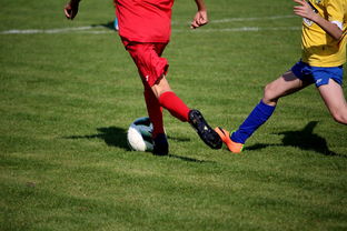 KAIYUN 中国大陆-“拳王争霸：四川省体育馆拳击赛将诞生新的世界拳王”